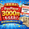 【実証済み】PayPayが3000円もらえた！おすすめのキャンペーン